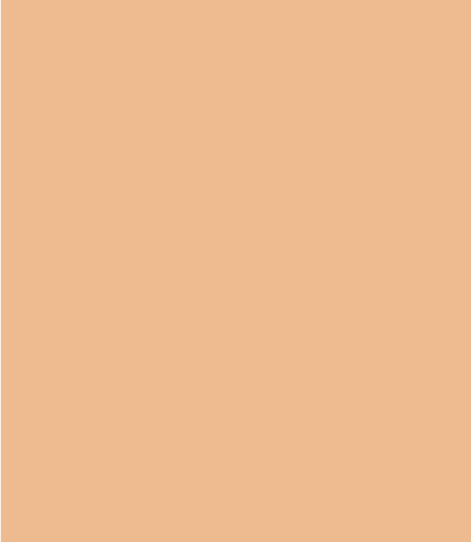 Airbrush Liquid Concealer
