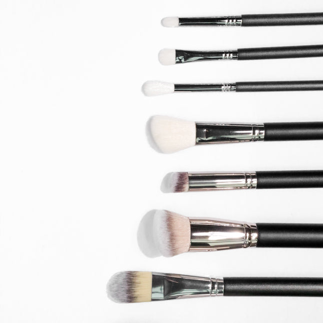 Brush Set of 10 pieces