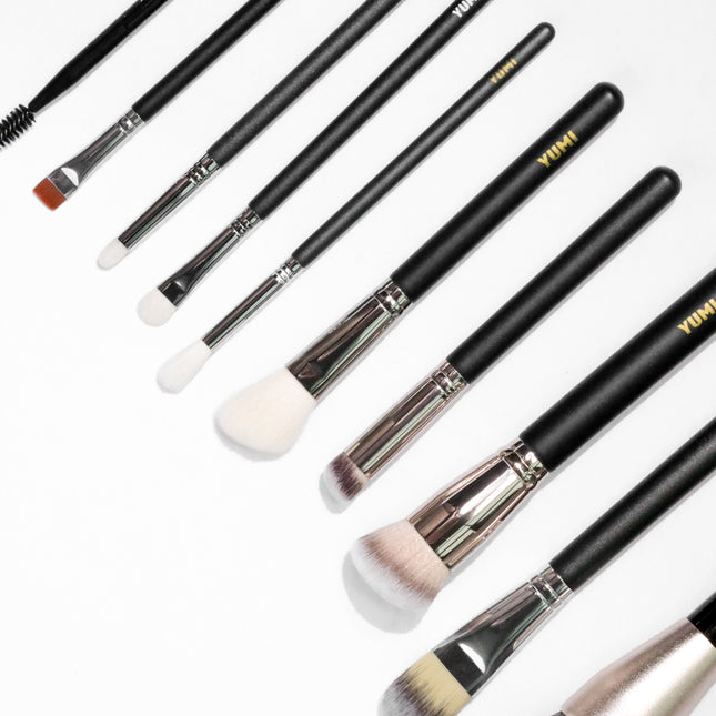 Brush Set of 10 pieces