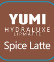 Spiced Latte